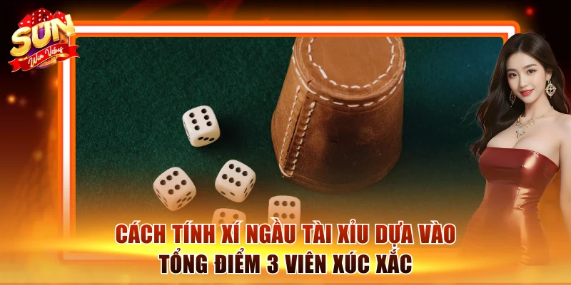 3 Cách Tính Xí Ngầu Tài Xỉu Chuẩn Xác Từ Cao Thủ Sòng Bài 2 Cách tính xí ngầu tài xỉu dựa vào tổng điểm 3 viên xúc xắc